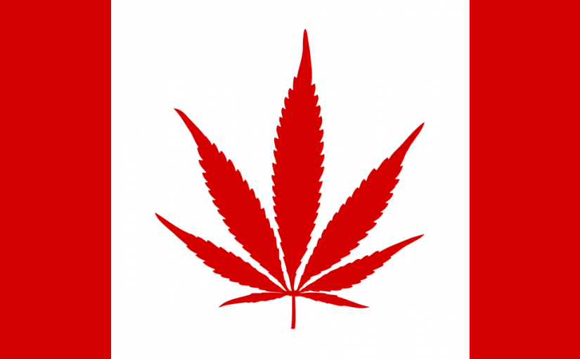 Marijuana: Should it be legalized?